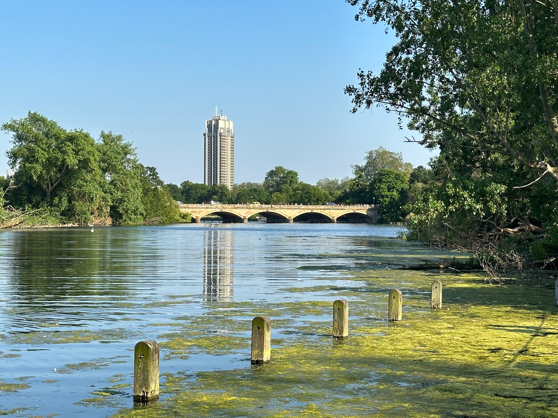 Green Spaces in Deprived English Regions at Greater Risk, New Study Reveals