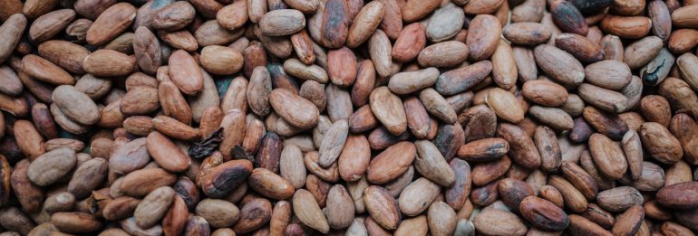 El Nino and the Looming Threat to Global Cocoa Production: A Deep Dive