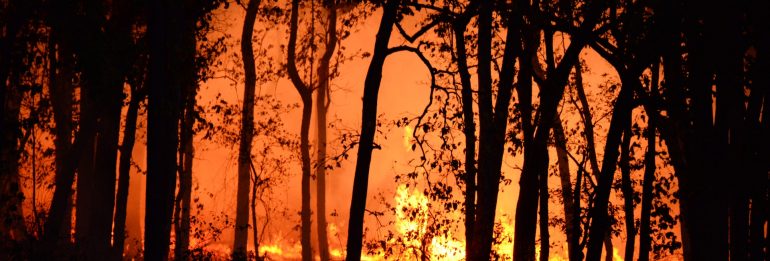 Uncontrolled Wildfires in the Amazon: A Global Climate Emergency