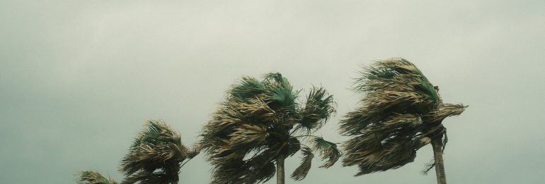 Hurricane Otis Strikes Guerrero State in Mexico, Leaving a Trail of Destruction