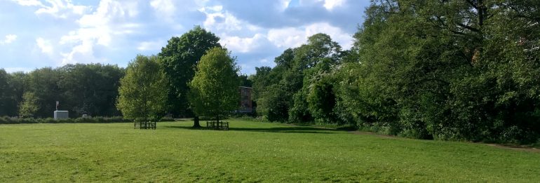 Green Spaces in Deprived English Regions at Greater Risk, New Study Reveals