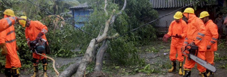 Disaster in eastern India: Cyclone Dana uproots trees, leaves thousands without power